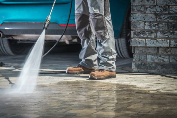 Best Soft Washing for Delicate Surfaces in Poplar Cotton Center, CA